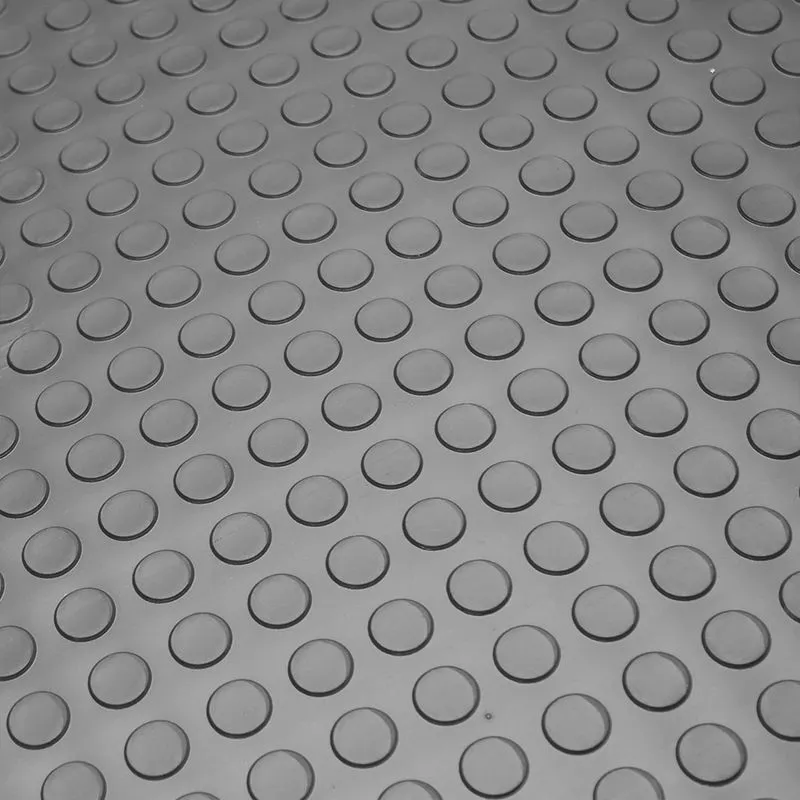 Piso emborrachado moeda academia